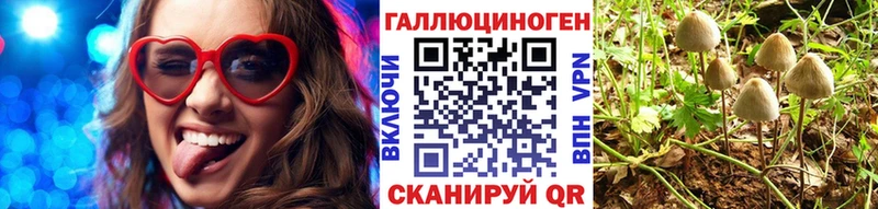 Псилоцибиновые грибы Cubensis  что такое   Озёры 
